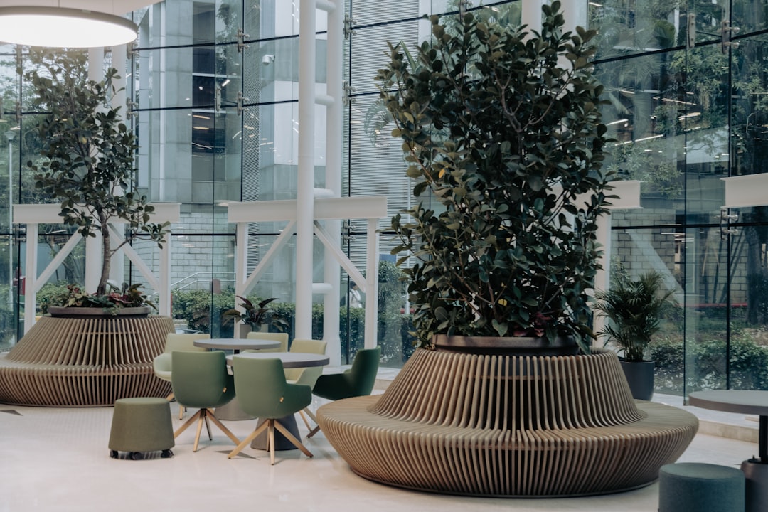Proekologiczne praktyki pracownicze: jak wprowadzić je do firmy 1 Photo Eco-friendly office