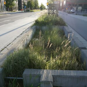 Photo Water management