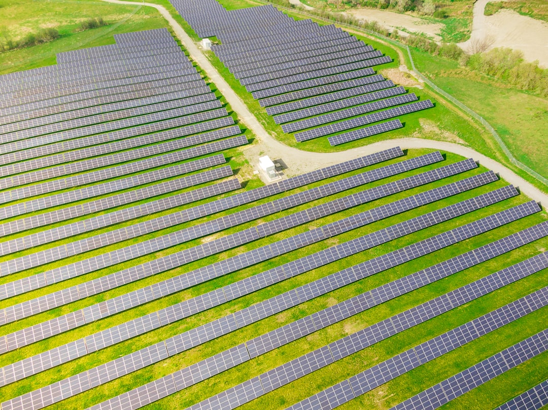 Photo Sustainable development