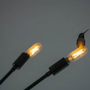 Photo industrial lighting