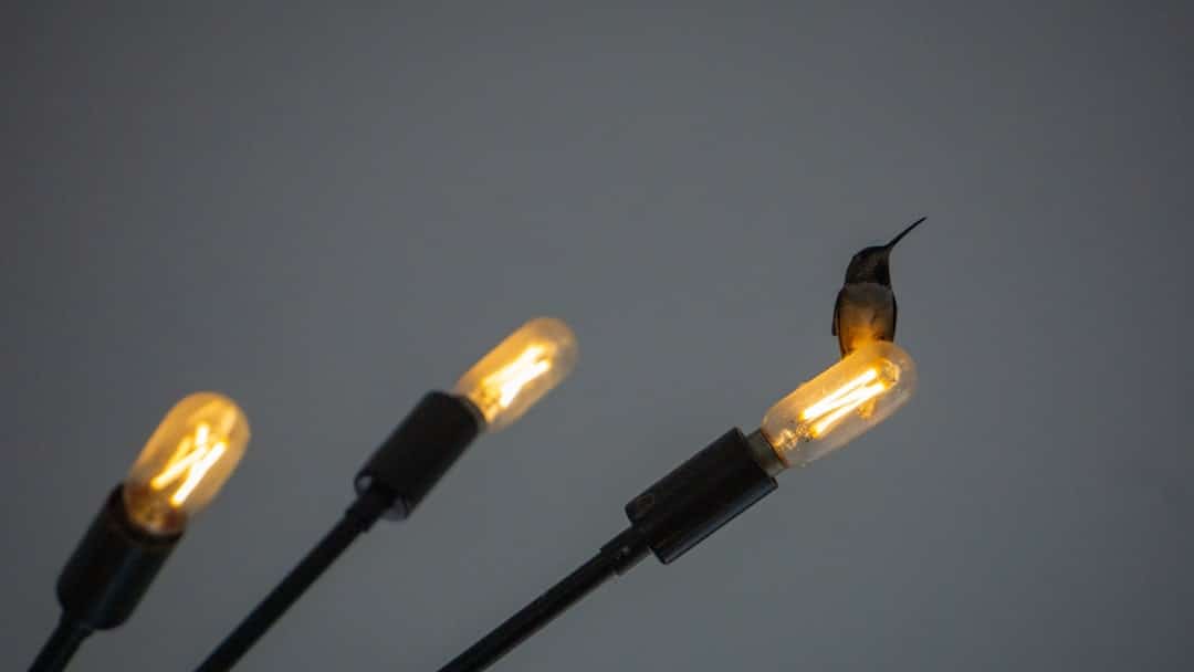 Photo industrial lighting