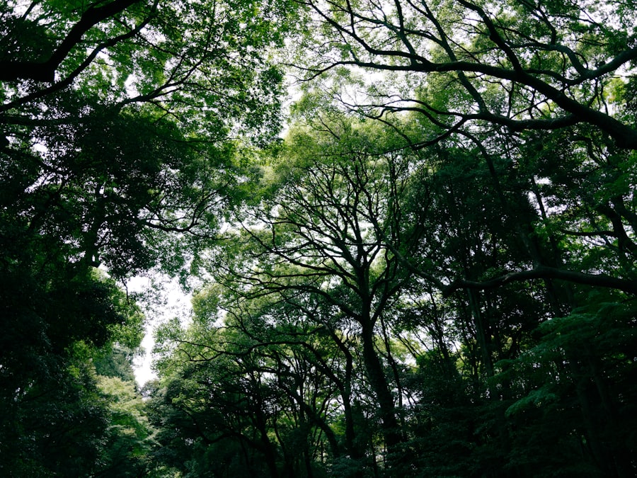 Ecological solutions