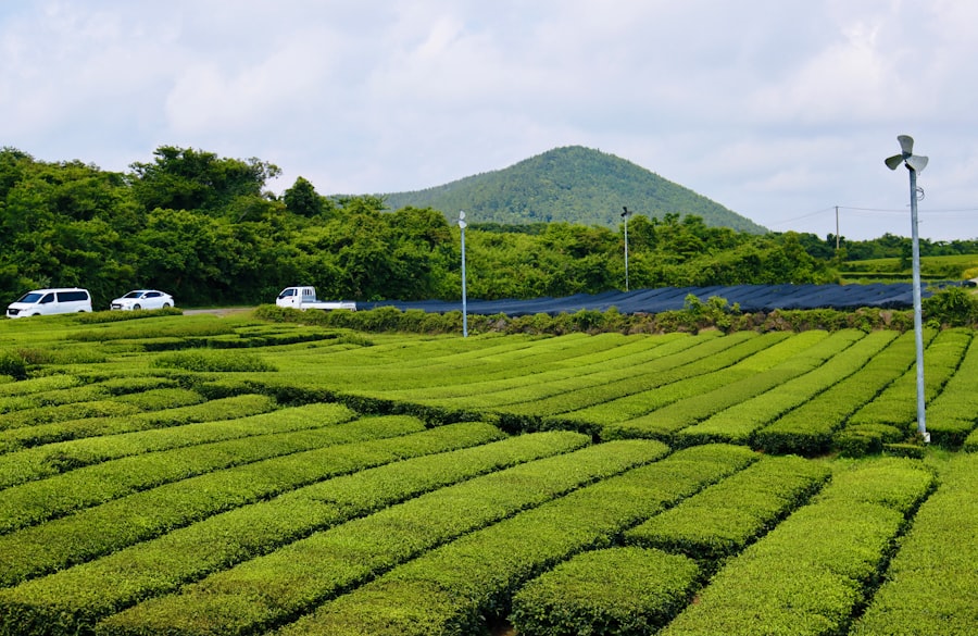 Photo Green human resource management