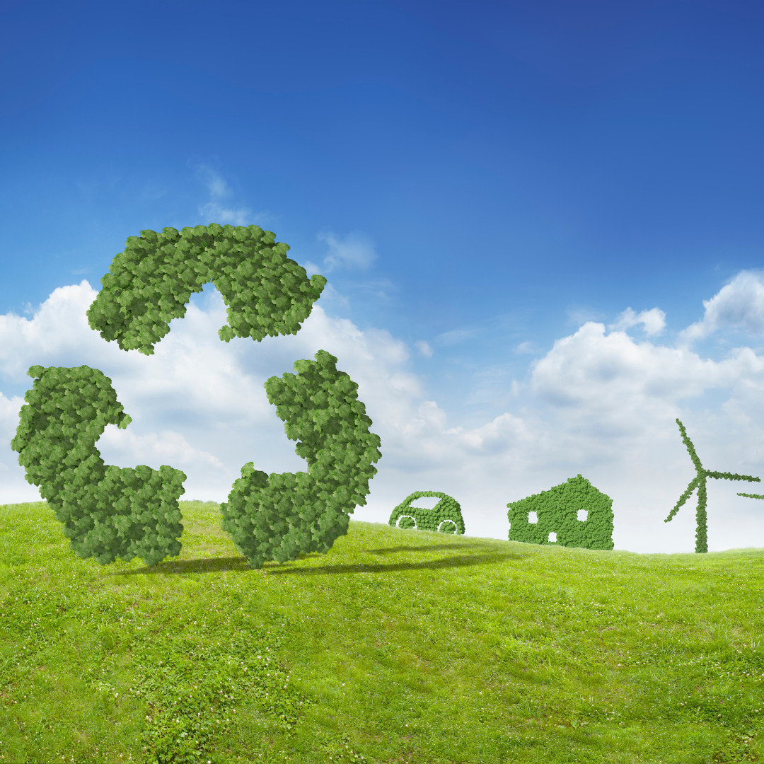 Import 1 Import