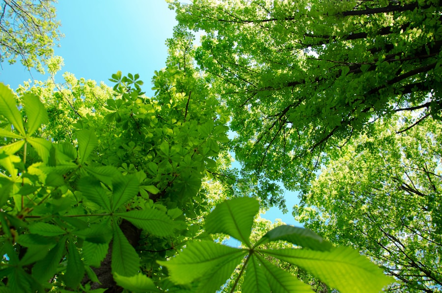 Zielone standardy w usługach: ochrona środowiska i efektywność energetyczna 3 Photo Green standards