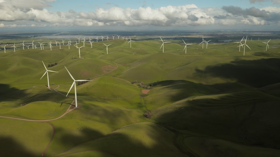 Photo Sustainable development