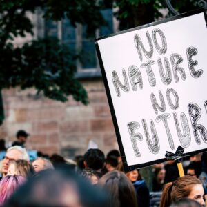 Jak osiągnąć neutralność klimatyczną w&nbsp;firmie